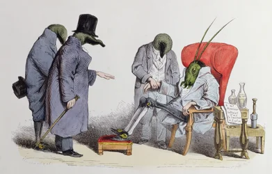 Los Doctores de las Sanguijuelas, caricatura de 